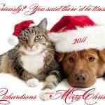 Photo Christmas Card Pets Dog Cat Pet Photo Card -..