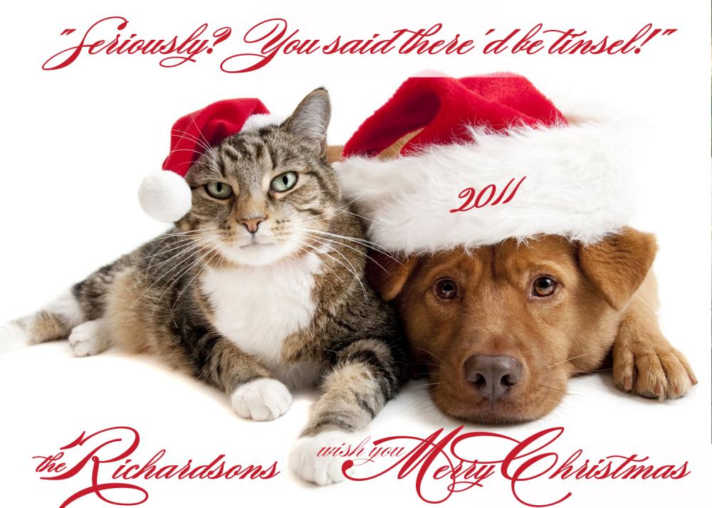 Photo Christmas Card Pets Dog Cat Pet Photo Card - 7" X 5"