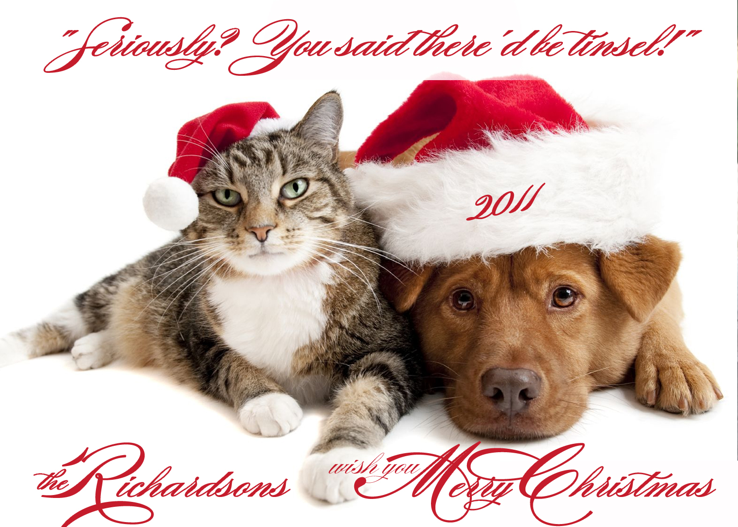 photo-christmas-card-pets-dog-cat-pet-photo-card-7-x-5-on-luulla